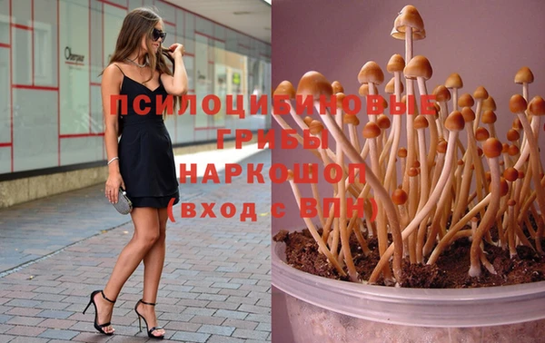 амф Алексеевка
