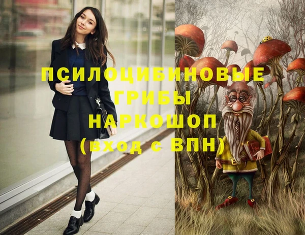 a pvp Алзамай