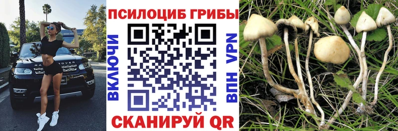 Галлюциногенные грибы мицелий  Новошахтинск 