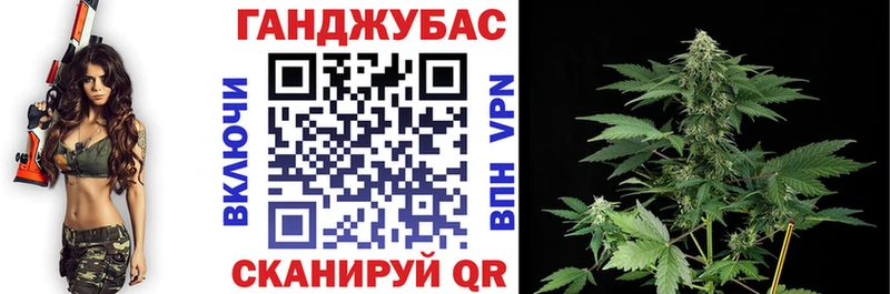 купить наркотик  Новошахтинск  Бошки марихуана SATIVA & INDICA 